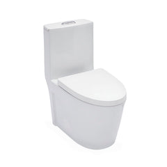 Toilets & Bidets