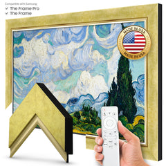 TV Frames