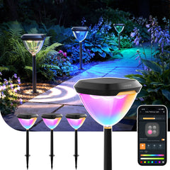 Smart Lighting & Plugs