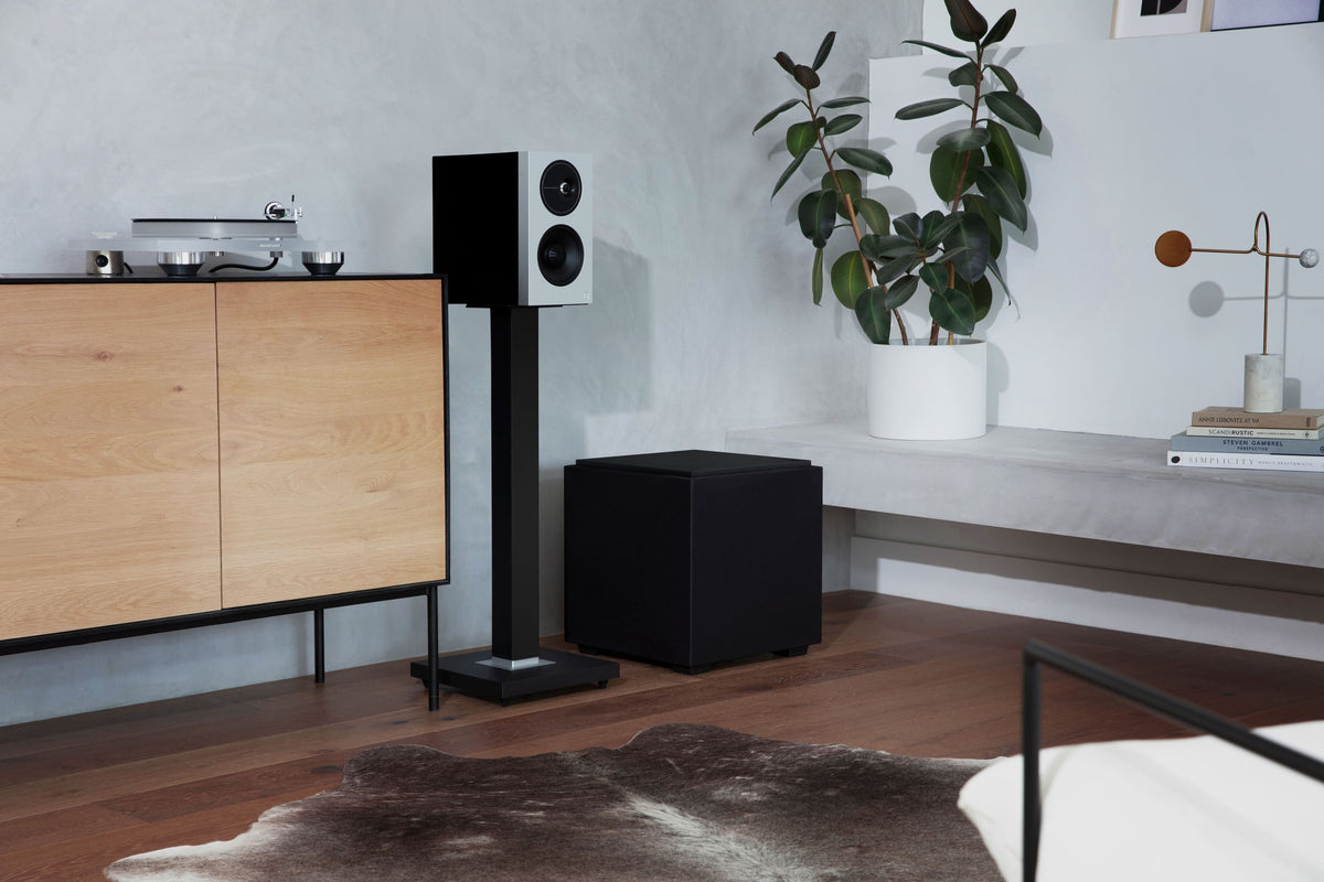 Definitive Technology - Descend DN10 10" Sub, 3XR Architecture, 500W Peak Class D Amplifier, (2) 10" Bass Radiators - Black