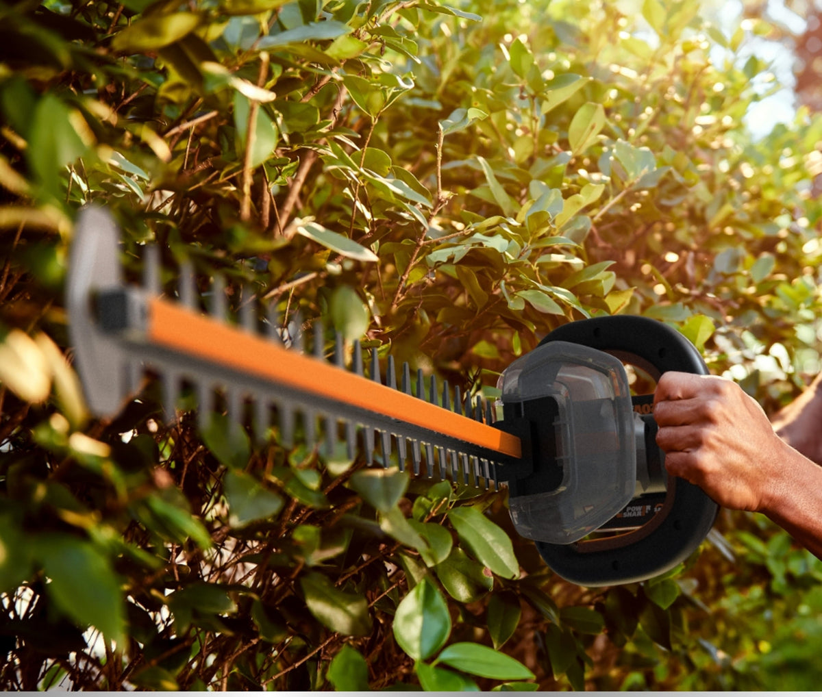 WORX - 40V 24" Cordless Hedge Trimmer (2 x 2.0 Ah Batteries & 1 x Charger) - Black