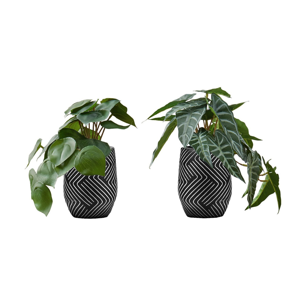 Planta de Alocasia Artificial (Set de 2)