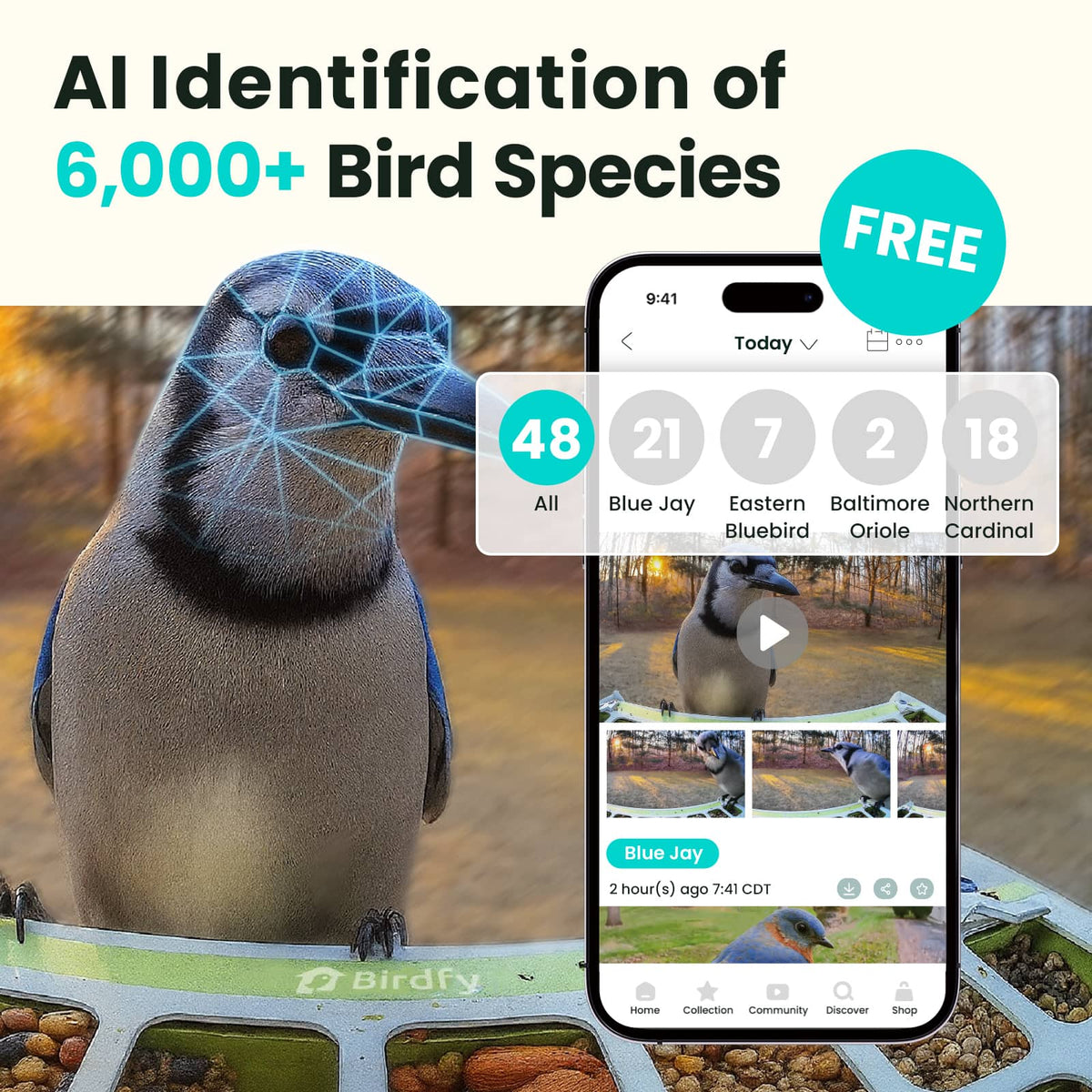 BIRDFY - Smart Bird Feeder with Camera, Durable Metal Bird Feeders for Outdoors, AI Identify Bird Species - Green
