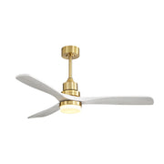Ceiling Fan With Dimmable LED Light 6 Speed Remote 3 Blade Reversible DC Motor For Bedroom