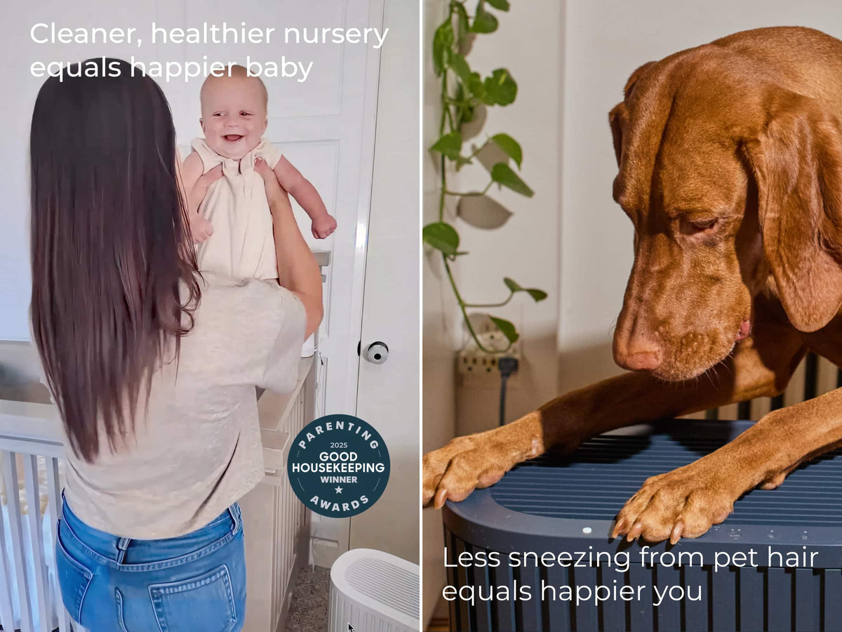 The Windmill Air Purifier Max, Smart 3-in-1, Ultra-Quiet, Medical Grade HEPA, Large Rooms up to 1950 Sq Ft - Bamboo