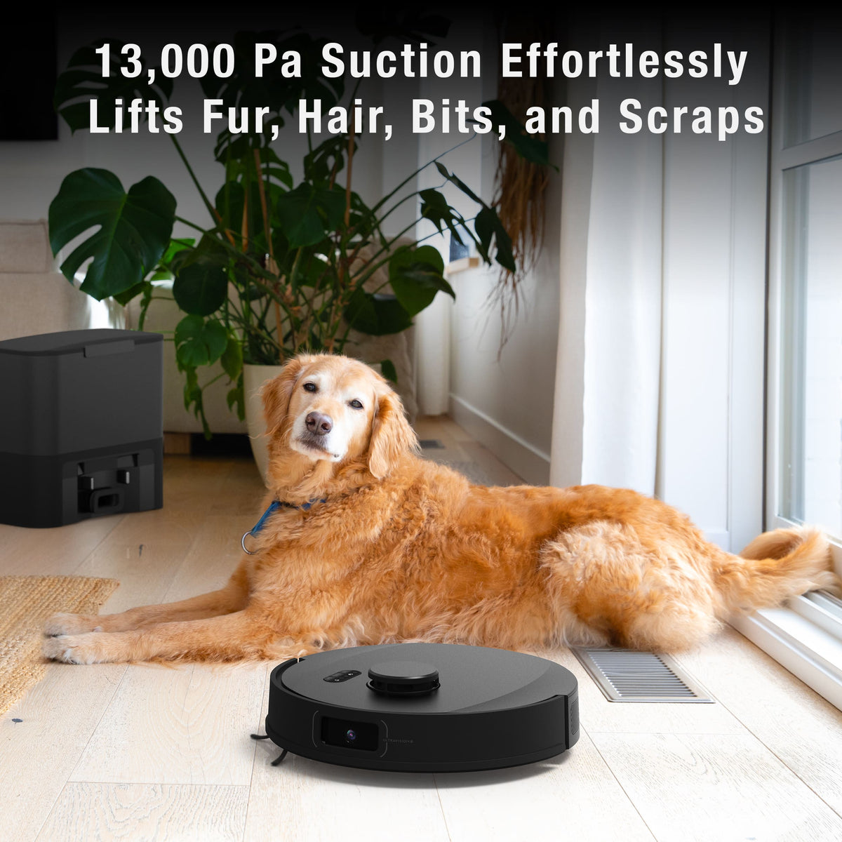 bObsweep - UltraVision Pet Self-Empty Robot Vacuum & Mop, 1.5 Gal 180-Day Dock, App & Voice Control, US Engineered - Gunmetal Stainless Steel
