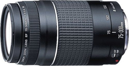 Canon - EF75-300mm F4-5.6 III Telephoto Zoom Lens for EOS DSLR Cameras - Multi