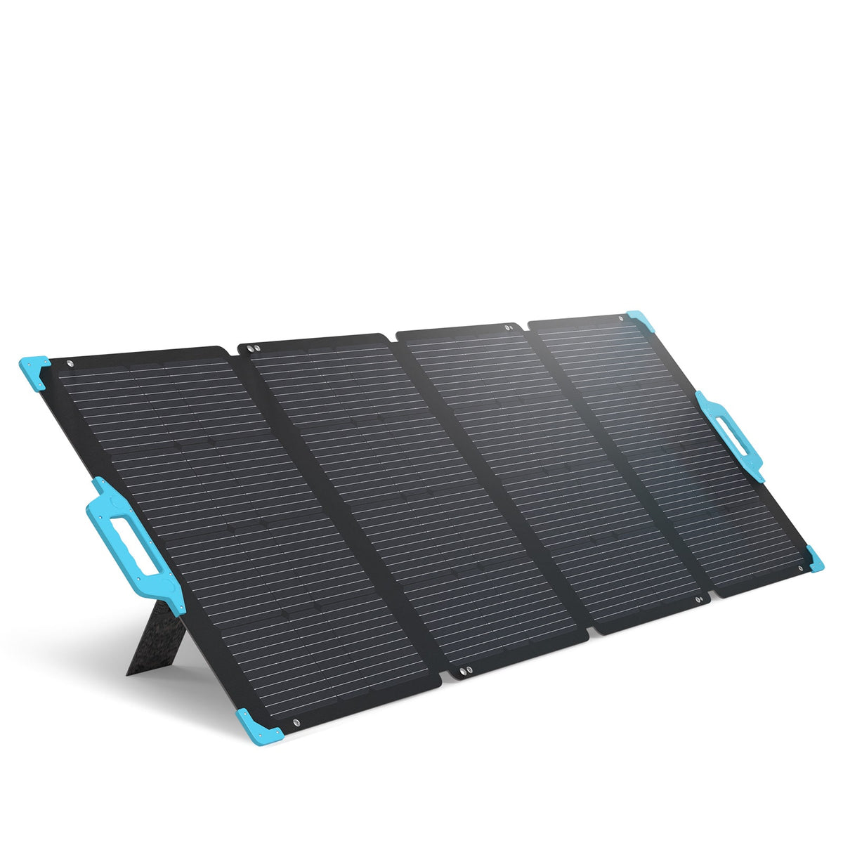 Renogy - 220 Watt Portable Solar Panel - Black