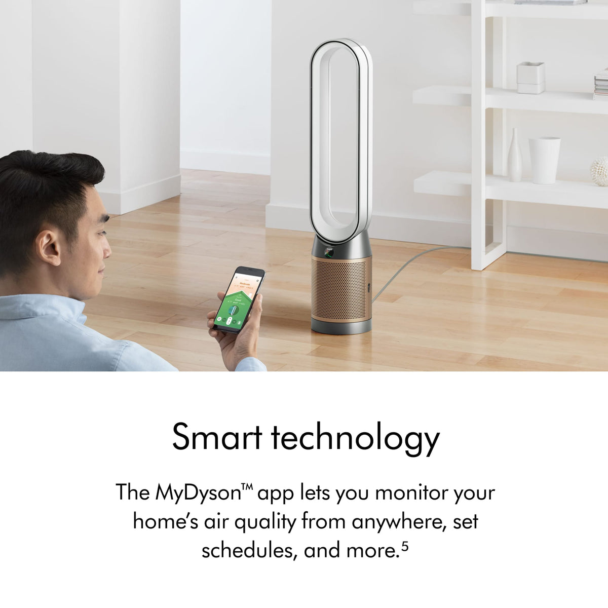 Dyson - Purifier Cool PC2 De-NOx​ - White/Gold