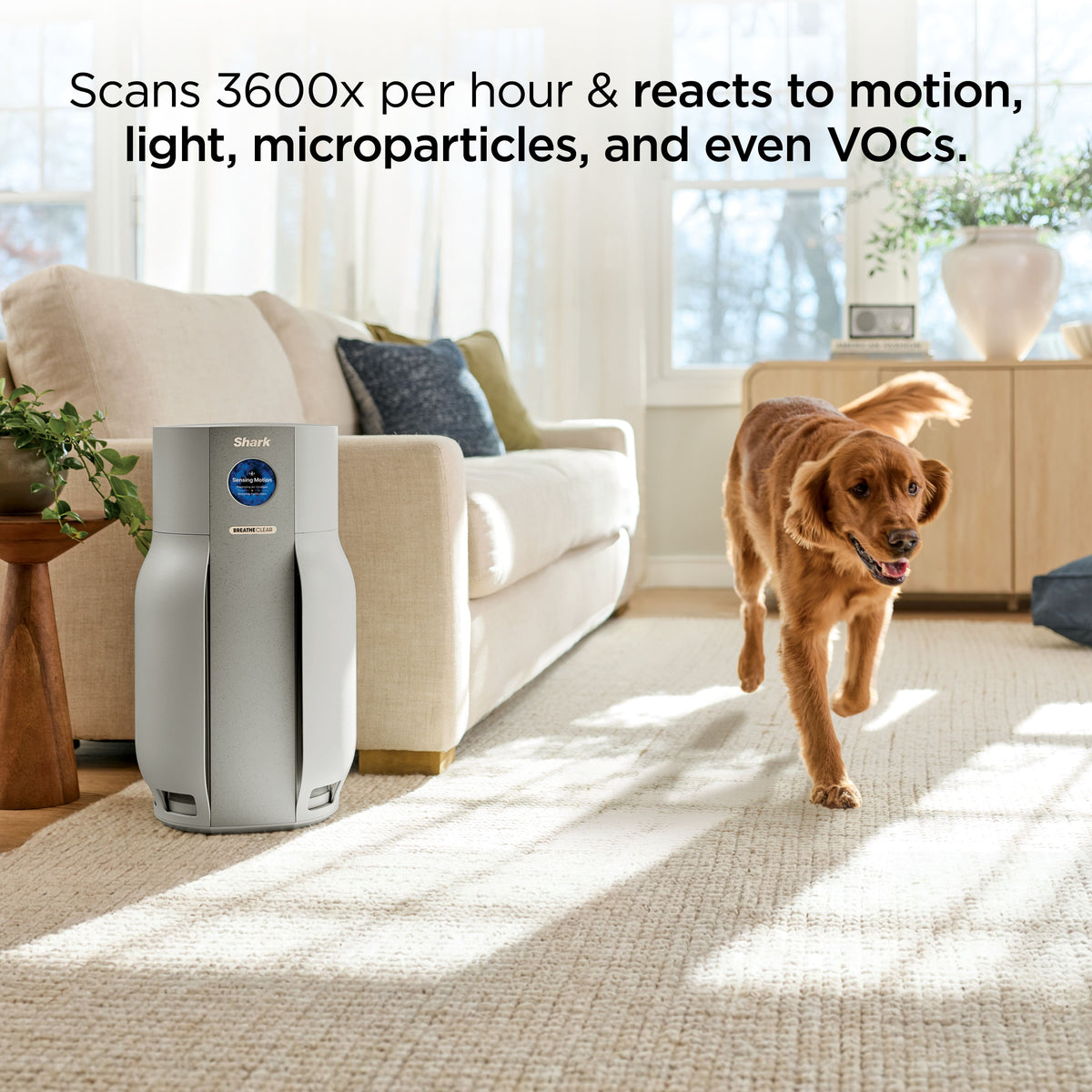 Shark - BreatheClear MAX by NeverChange Air Purifier - Dove