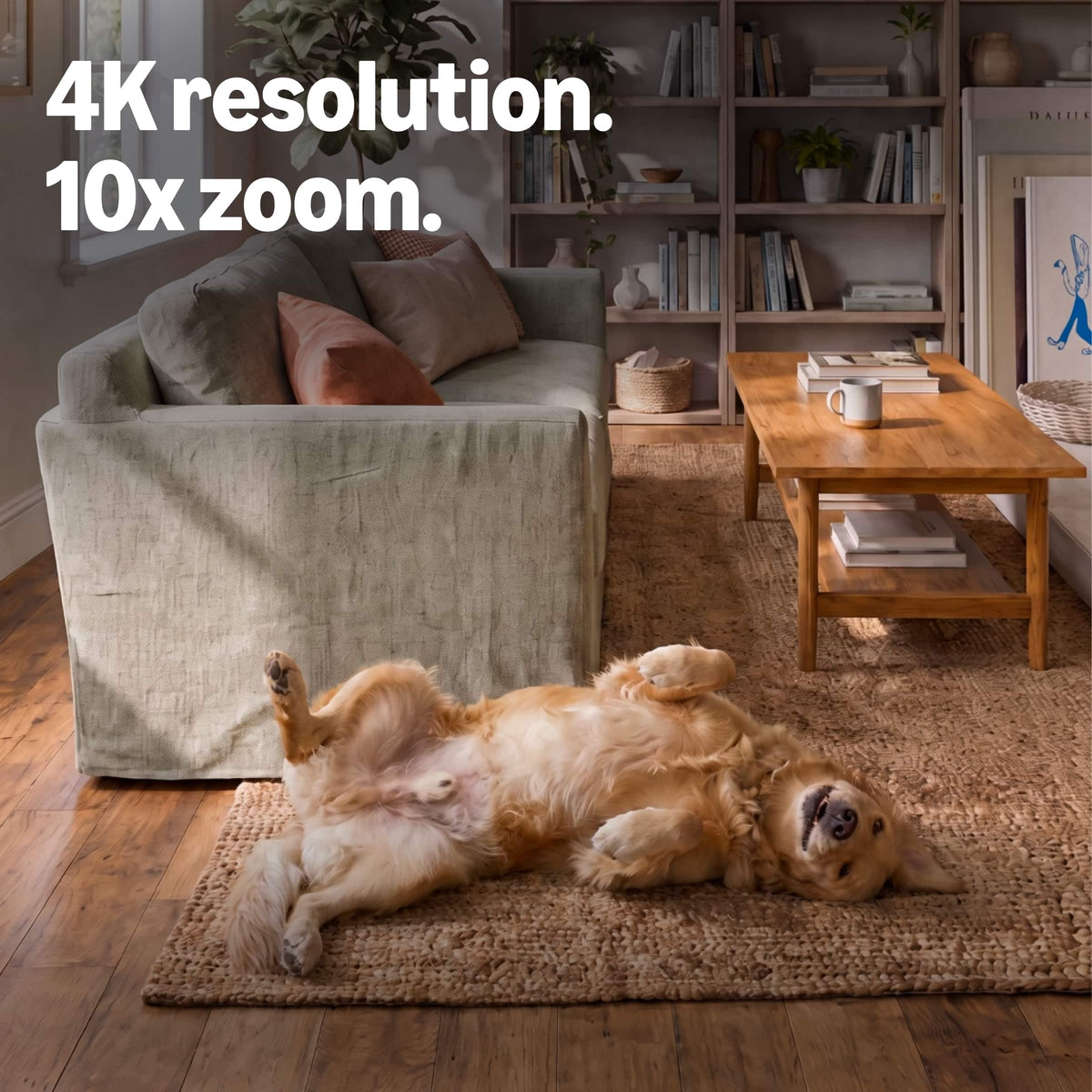 Blink - Mini 4K+ (2-pack) (newest model), plug-in indoor camera, 4K video resolution, HDR, Night Vision, motion detection - White