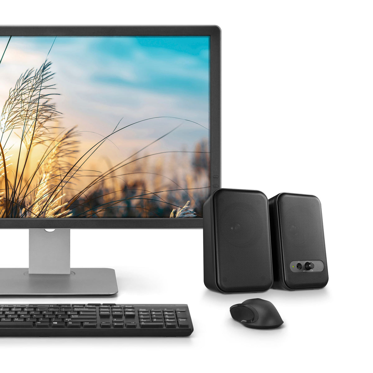 Insignia™ - 2.0 Computer Speakers (2-Piece) - Black
