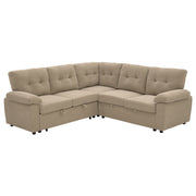 Convertible Sectional Sofa Bed & Pull Out Sleeper And Storage