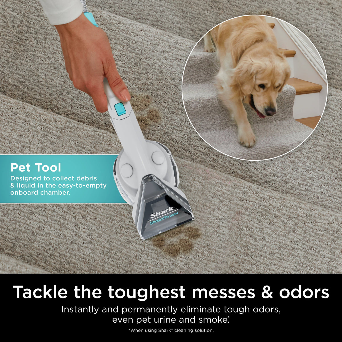StainStriker Complete Bundle for Shark StainStriker Portable Cleaners - Multi