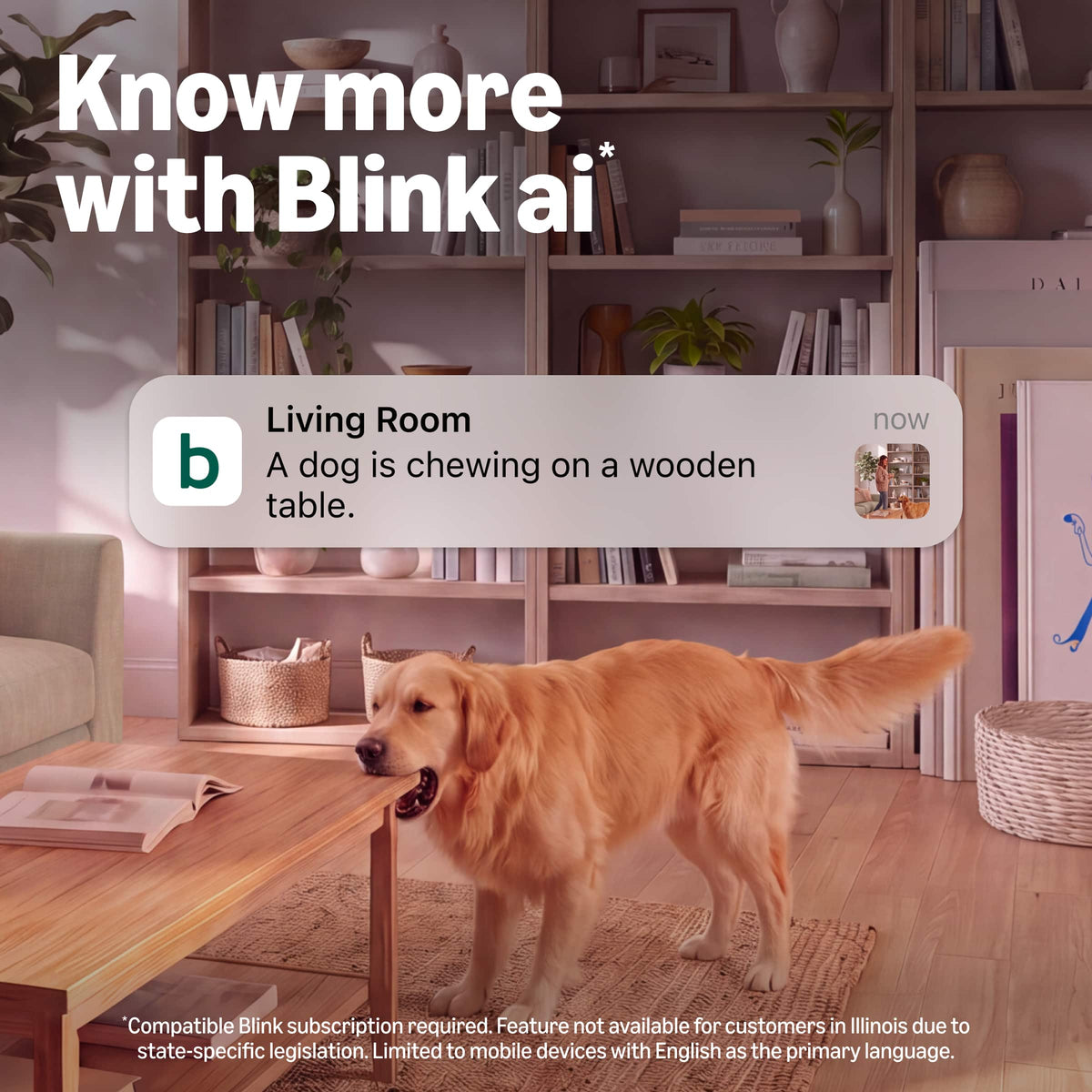 Blink - Mini 4K+ (2-pack) (newest model), plug-in indoor camera, 4K video resolution, HDR, Night Vision, motion detection - Black