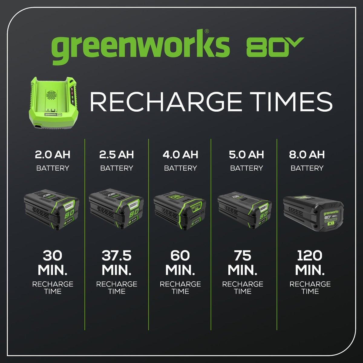 Greenworks - 80 Volt Pro Rapid Battery Charger - Black/Green