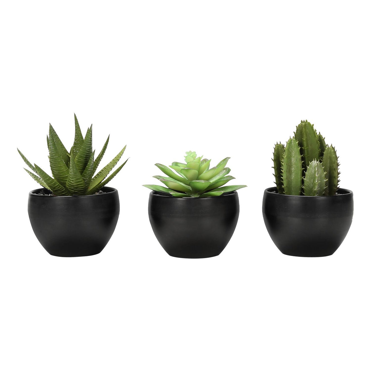 Plantas Suculentas Artificiales (Juego de 3)