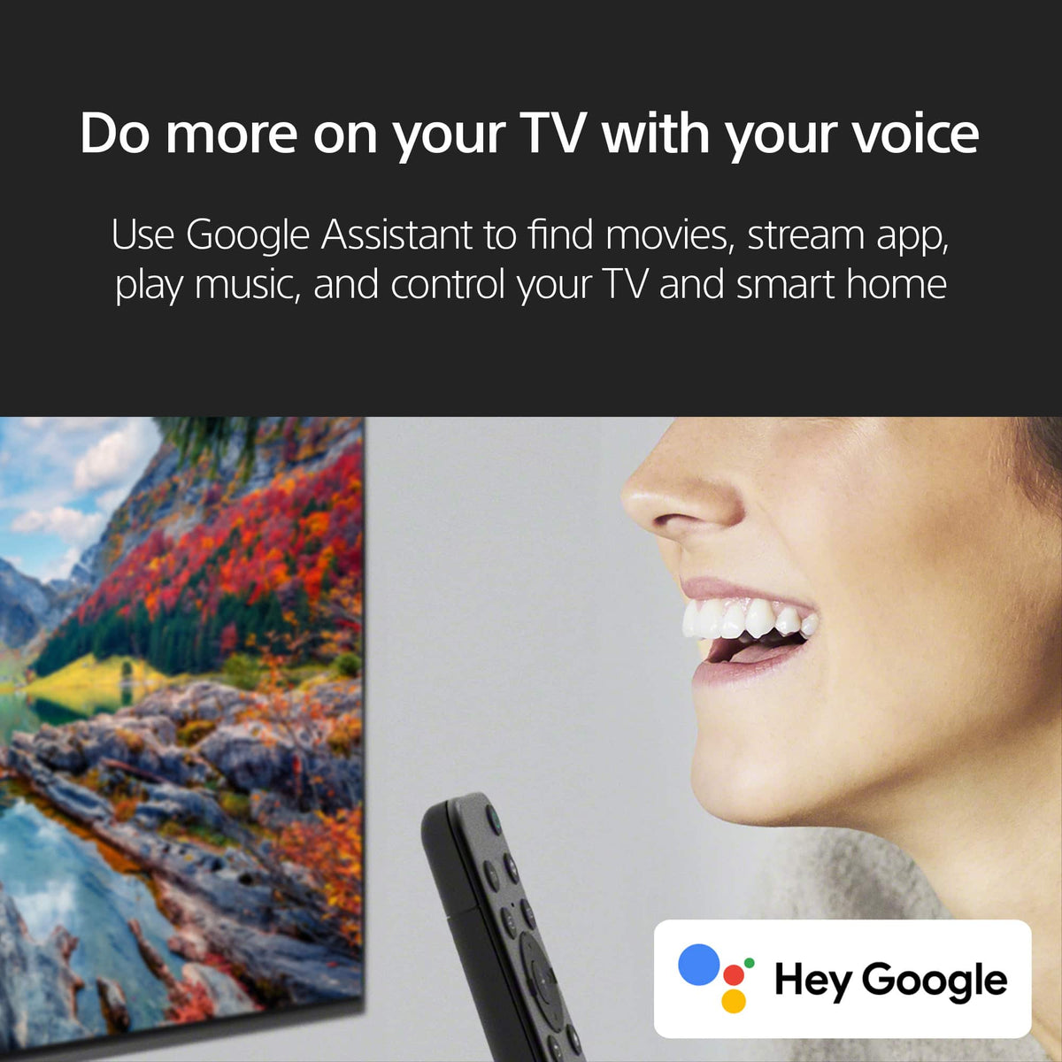 Sony - 65" Class BRAVIA 2 II LED 4K UHD Smart Google TV (2025)