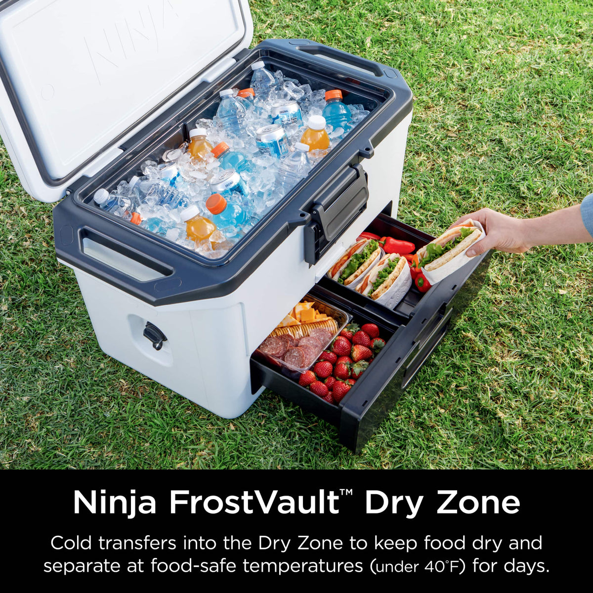 Ninja - FrostVault 50qt Hard Cooler with Dry Zone - Cloud White