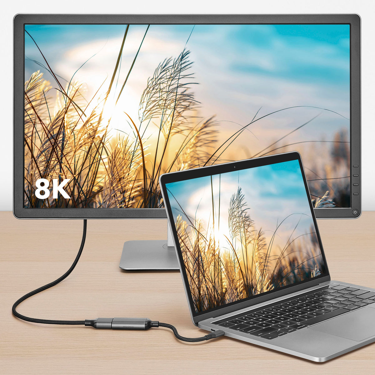 Insignia™ - 8K USB-C to DisplayPort Adapter - Black