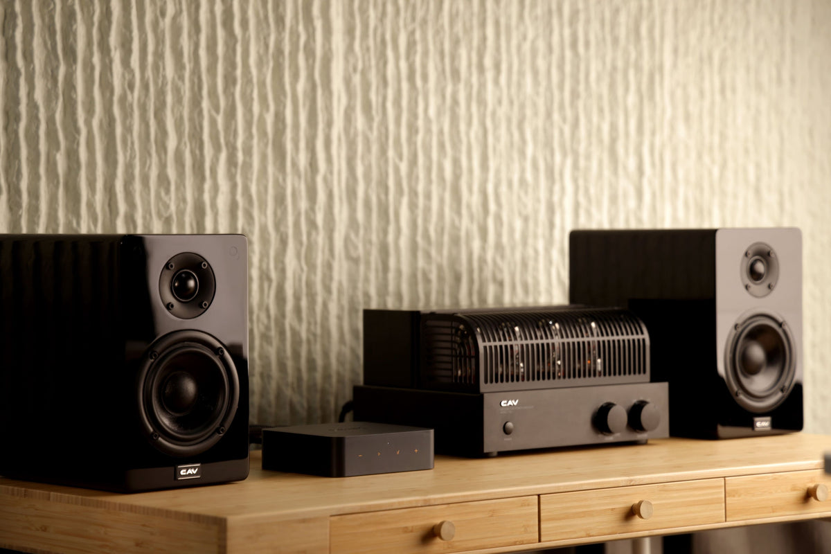 WiiM - Pro Plus Wireless Audio Streamer - Black