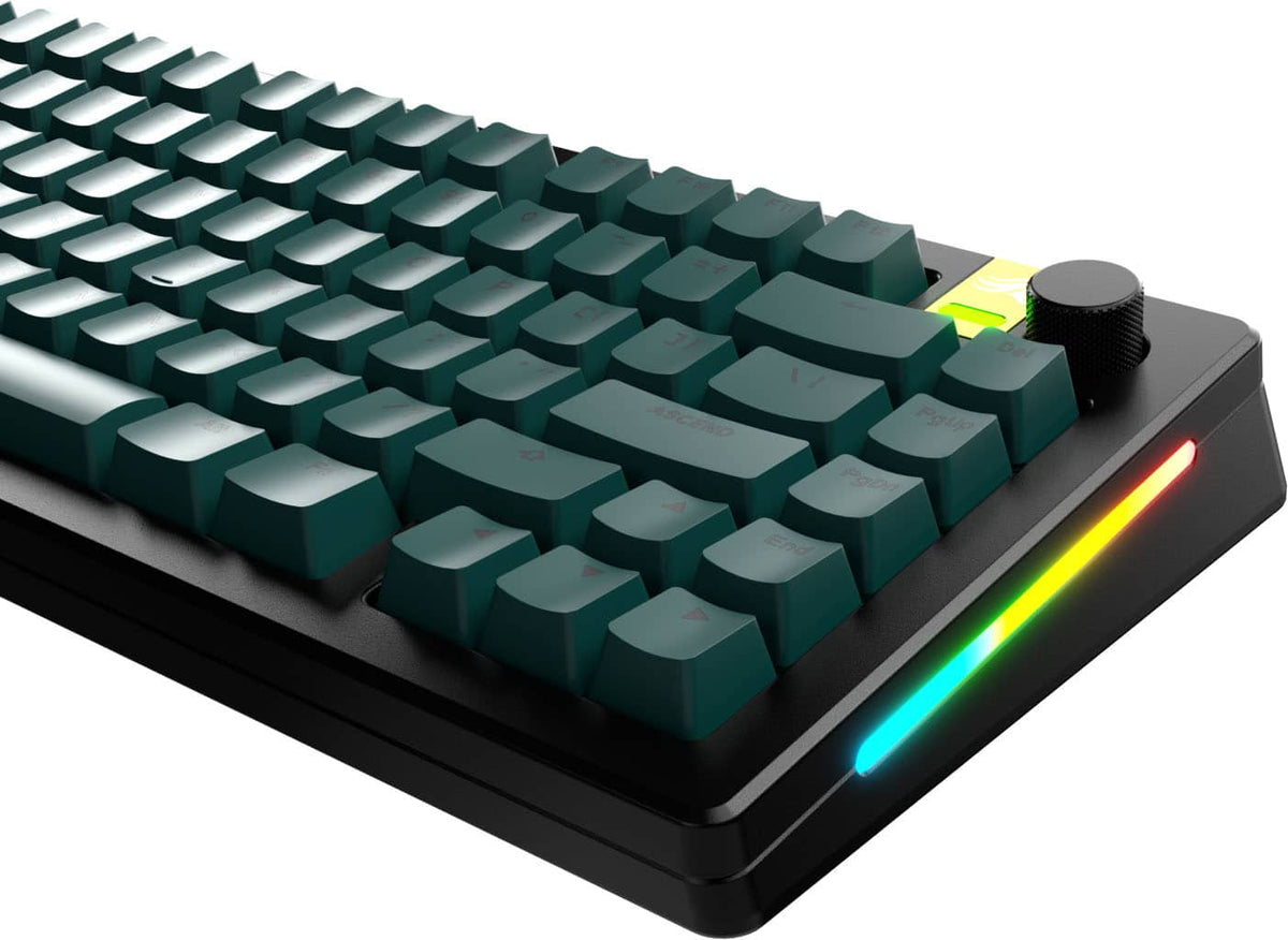 Glorious - GPBT Basics Universal Keycap Set Compatible with Most 100% 85% 80% TKL 60% Compact 75% Mechanical Keyboards - Totem Green