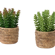 Suculenta artificial, decoración de mesa (juego de 2) - Verde / Marrón claro - Plástico
