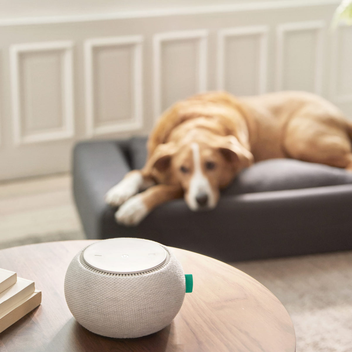 Tuft & Needle - SNOOZ Noise Machine - White