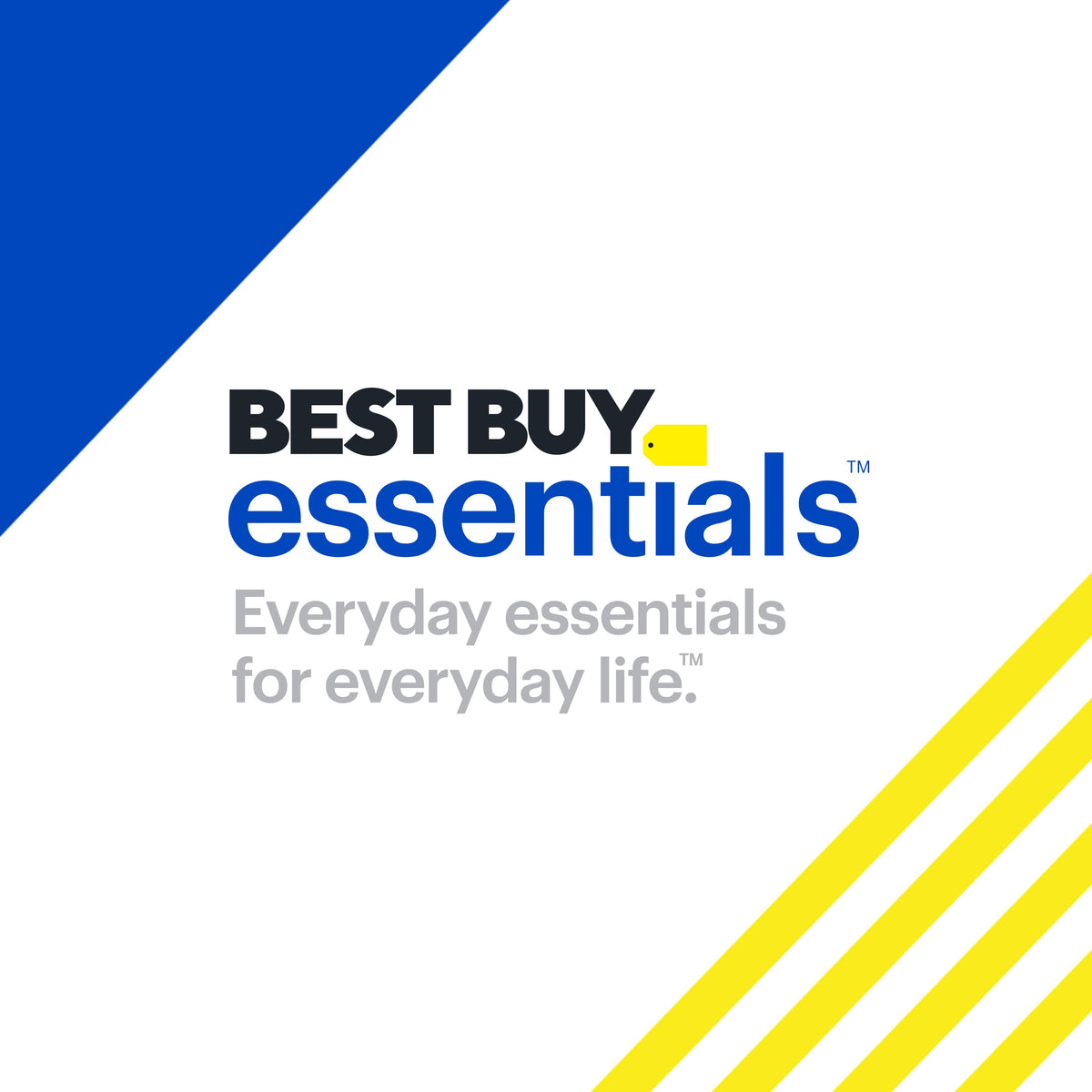 Best Buy essentials™ - USB-C Male to USB Female Adapter (2-Pack) - Black