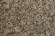 JennAir - 30" Custom Column Panel - Eggshell Snakeskin Black