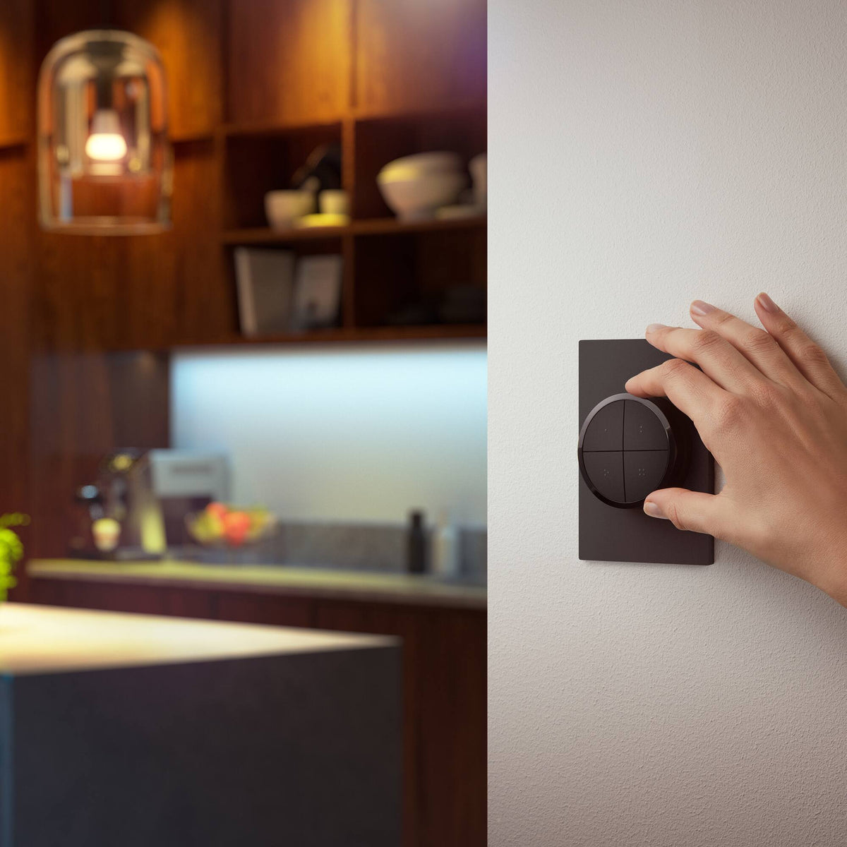 Philips - Hue Tap Dial Switch - Black