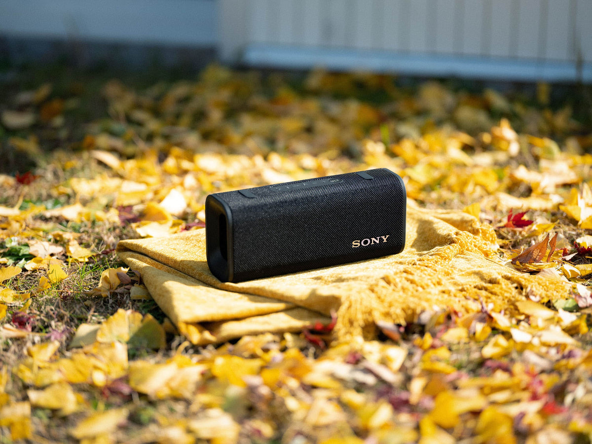 Sony - ULT FIELD 3 Wireless Speaker - Forest Gray