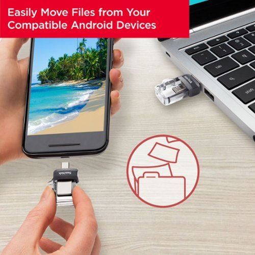 SANDISK - Ultra 256GB USB 3.0, Micro USB Flash Drive - Gray / Transparent