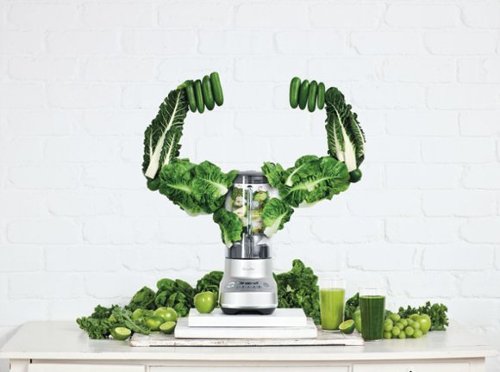 Breville - 5-Speed Blender - Silver