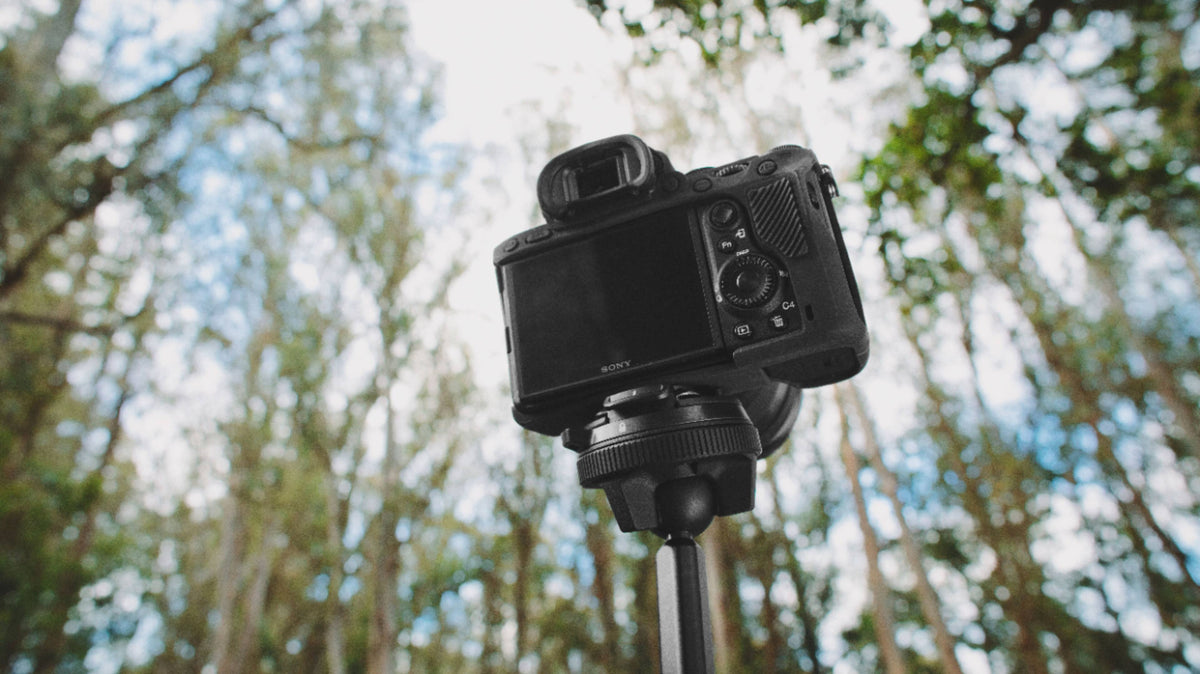 Peak Design - Travel 60" Tripod Carbon Fiber - Black