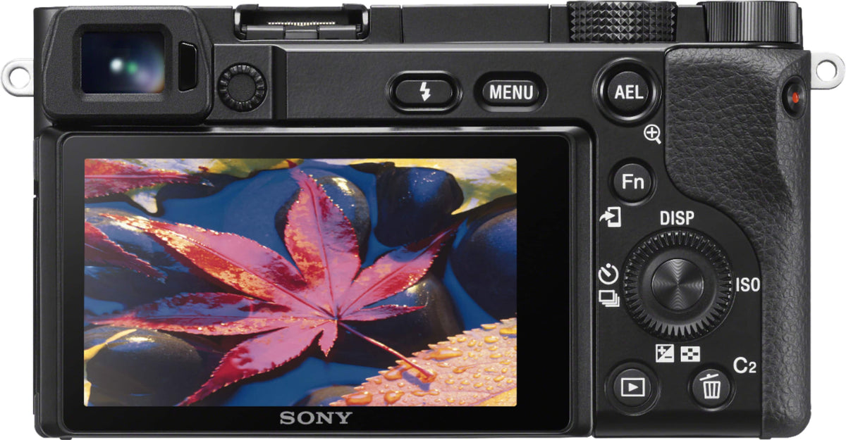 Sony - Alpha 6100 APS-C Mirrorless Camera (Body Only) - Black