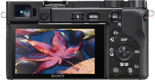 Sony - Alpha 6100 APS-C Mirrorless Camera (Body Only) - Black