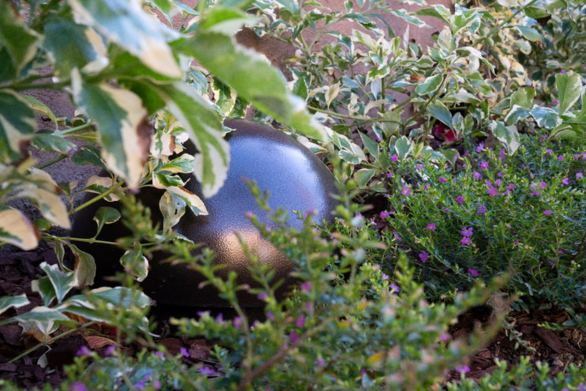 Sonance - MAG6.1 - Mag Series 6.1-Ch. Landscape Outdoor Speaker System Powered by Sonos (Each) - Brown/Black