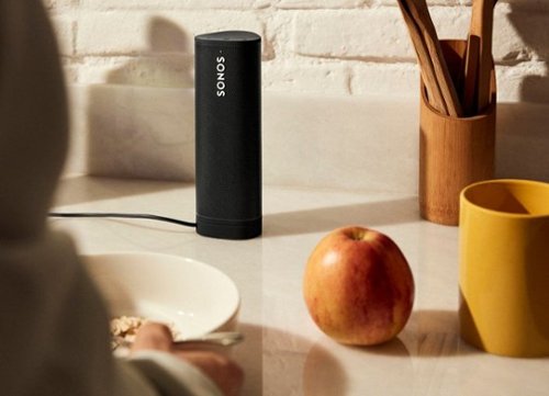 Sonos - Roam Wireless Charger - Black