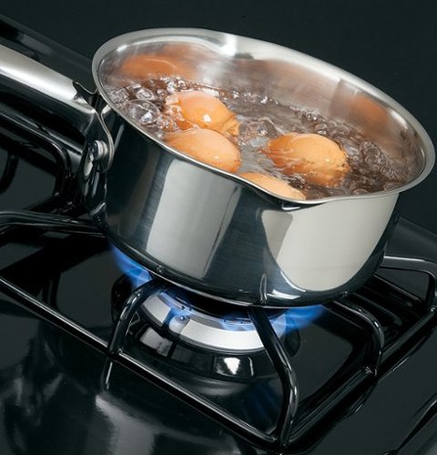 Hotpoint - 30 in. Wide 4 Burners 30 in. Wide 4 burner 4.8 Cu. Ft. Freestanding Gas Range - Black