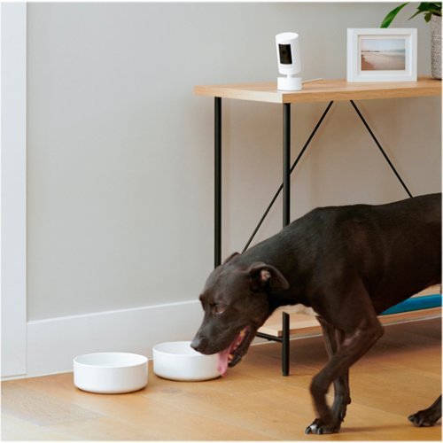 Ring - Pan-Tilt Mount for Stick Up Cam - White
