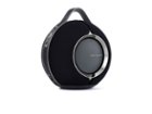 Devialet - Mania Portable Bluetooth and Wi-Fi Capability Speaker (w/Charging Dock) - Deep Black