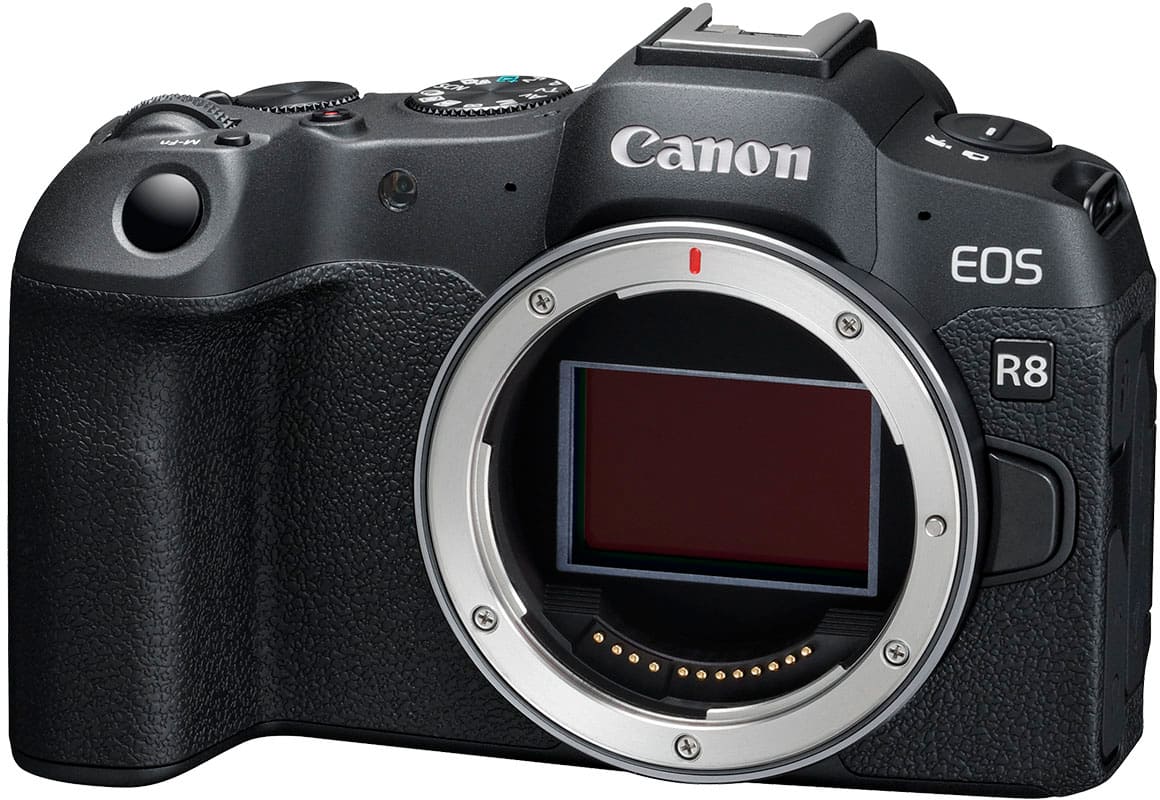 Canon - EOS R8 4K Video Mirrorless Camera with RF24-50mm f/4.5-6.3 IS STM Lens - Black