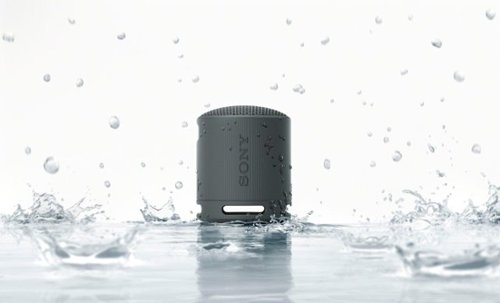 Sony - XB100 Compact Bluetooth Speaker - Black