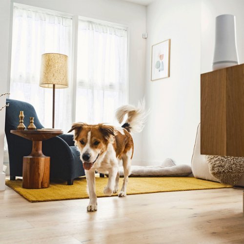 SimpliSafe - Motion Sensor - White