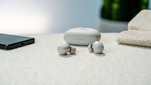 Sony - WF-1000XM5 True Wireless Noise Cancelling Earbuds - Silver
