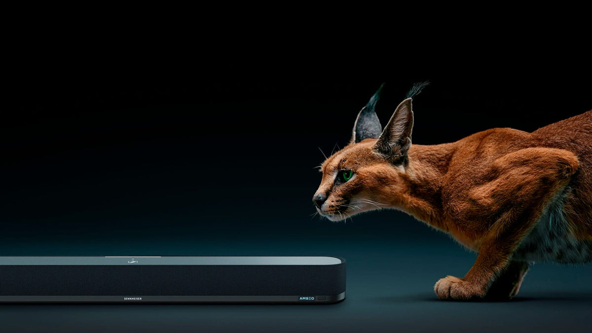 Sennheiser - AMBEO Soundbar Mini Compact Device with Adaptive Features and Multiple Connectivity - Black
