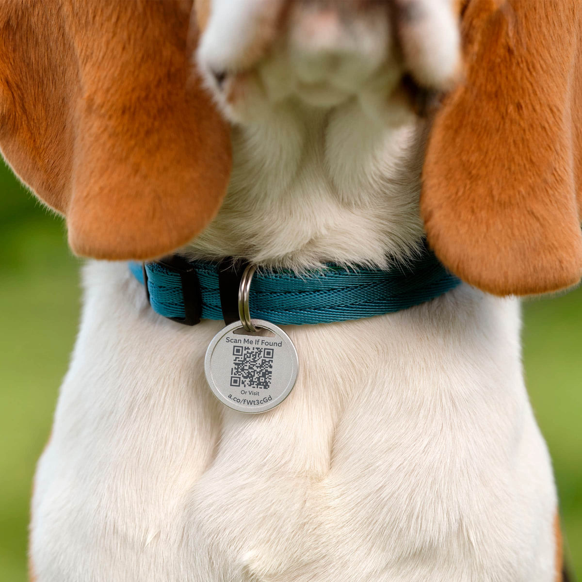 Ring - Pet Tag - Silver