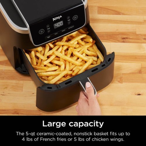 Ninja - Air Fryer Pro 4-in-1 with 5 QT Capacity - Gray