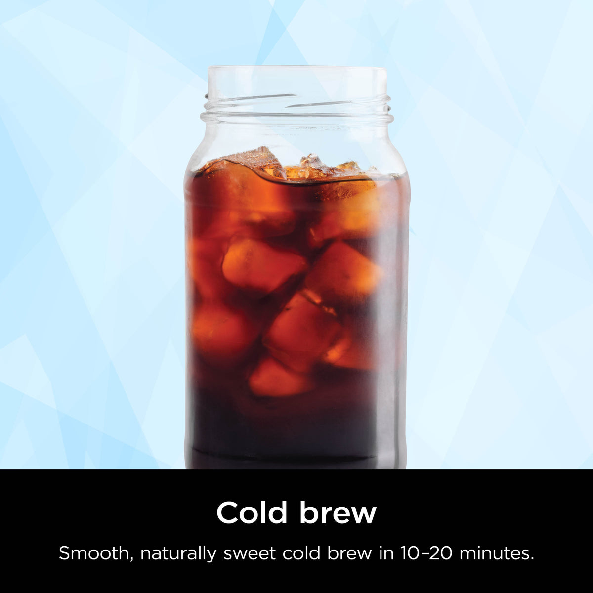 Ninja - Hot & Iced XL Coffee Maker with Rapid Cold Brew 12-cup Drip Coffee Maker & Single Serve Brewing - Black